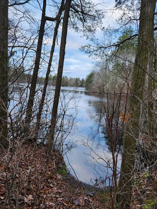 Bellplain State Forest Astronomy 5