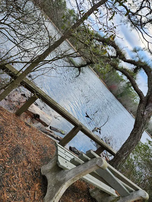 Bellplain State Forest Astronomy 4