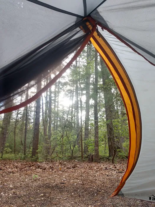 Belleplain Gate House 9