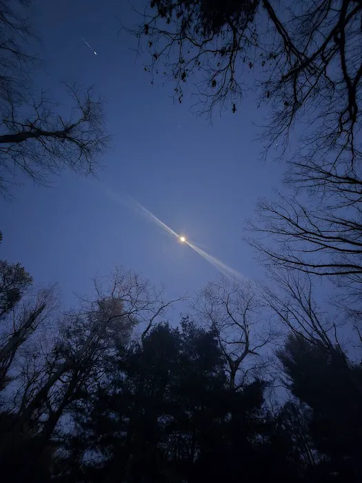 Belle Plain State Park Camp grounds 1