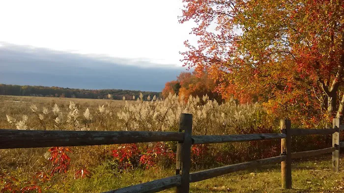 Country Meadows Rents & Sales 6