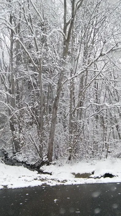 Country Meadows Rents & Sales 9