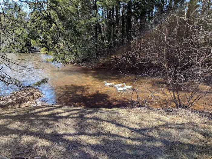 Holly Village Holly Michigan 1