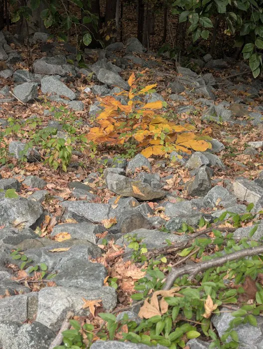 Kingsmill Mobile Home Park 0