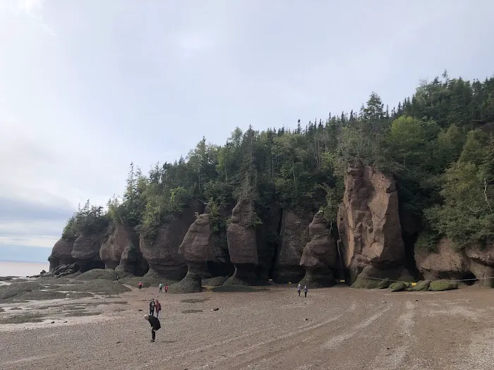 Ponderosa Pines Family Campground 5