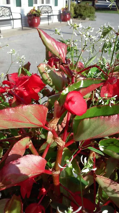 Seventh-Day Adventist Camp Victory 6