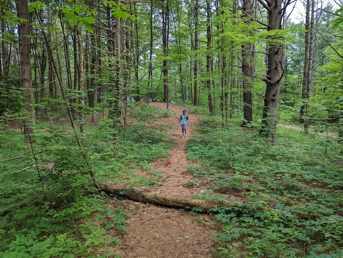 Kenneth L. Wilson Campground 0