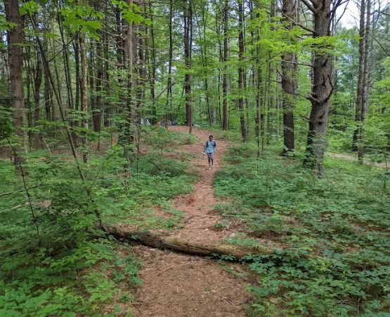 Kenneth L. Wilson Campground