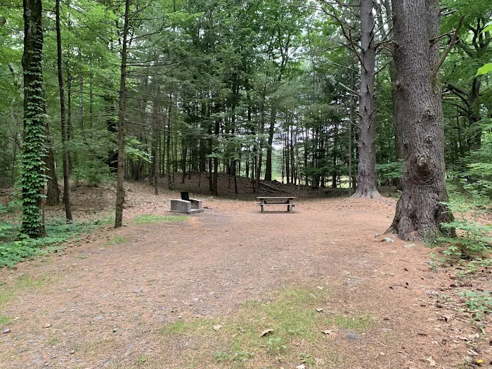 Kenneth L. Wilson Campground 6