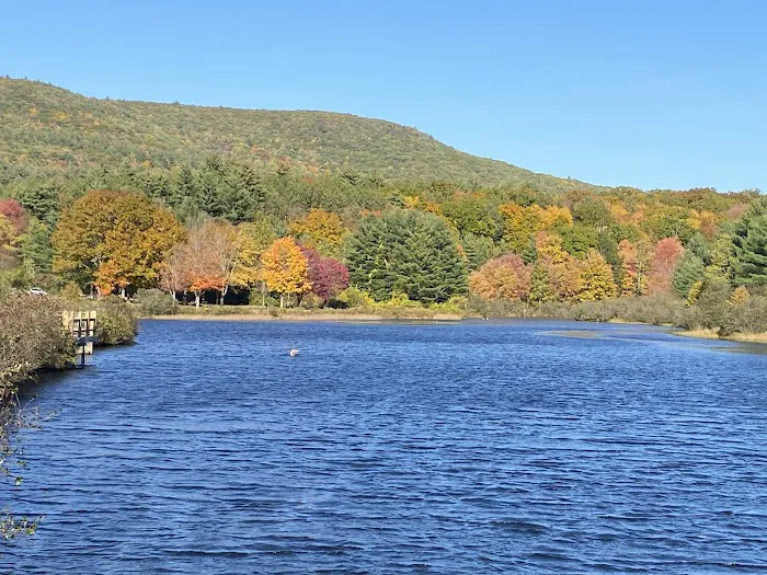 Kenneth L. Wilson Campground 5