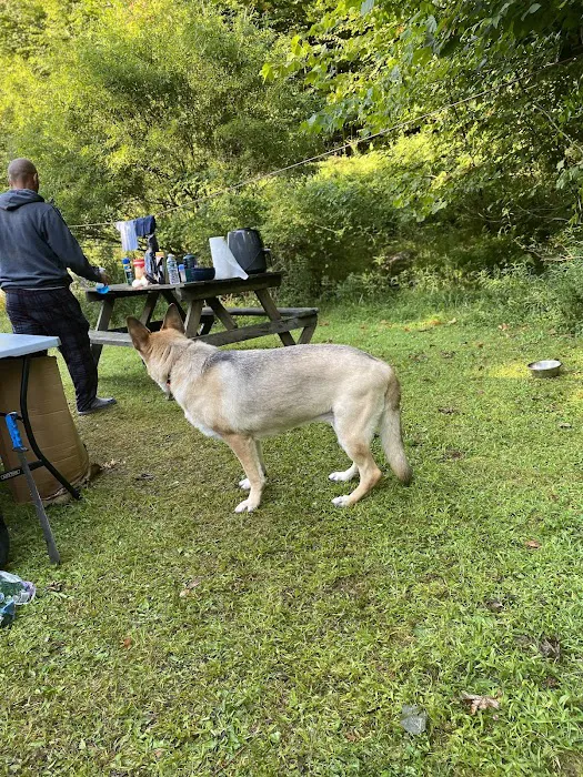 Hide-A-Way Campsite 3