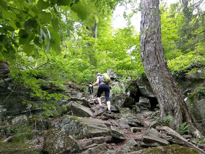 Woodland Valley Campground 2