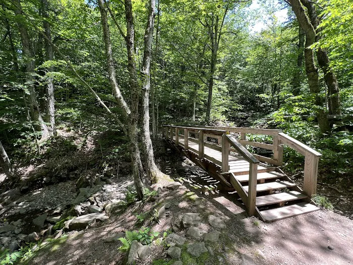 Woodland Valley Campground 0