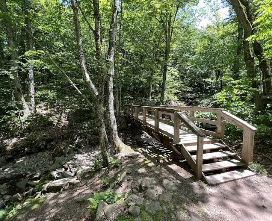 Woodland Valley Campground