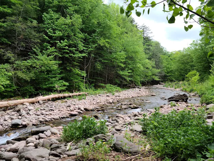 Woodland Valley Campground 9