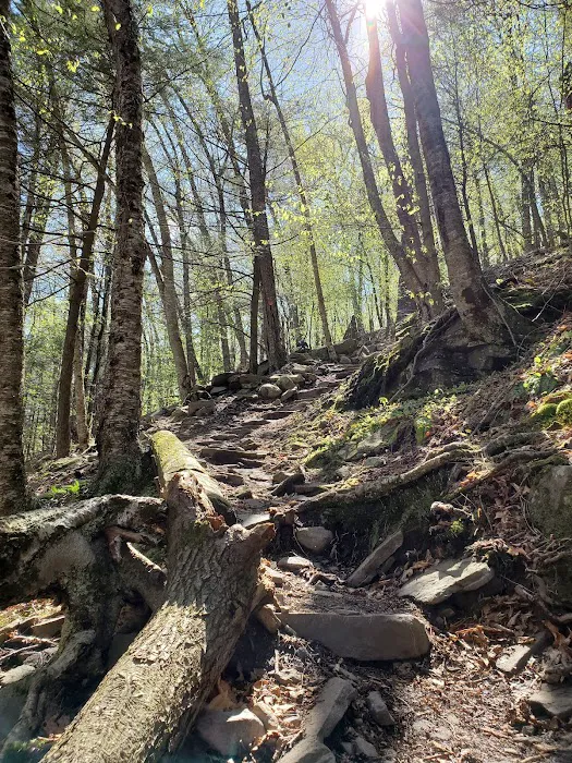 Woodland Valley Campground 7