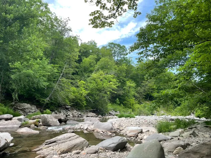 Woodland Valley Campground 6