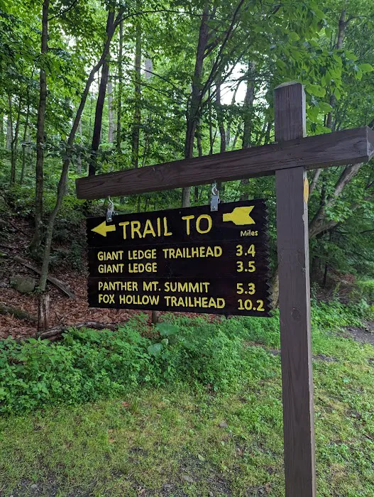 Woodland Valley Campground 8