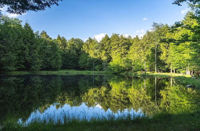 Willowemoc Campgrounds 6