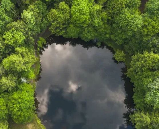 Willowemoc Campgrounds