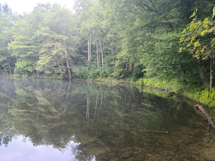 Mongaup Pond Campground 0