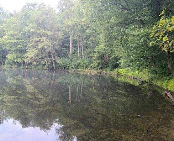 Mongaup Pond Campground
