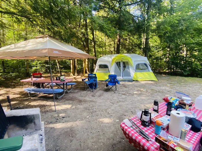 Mongaup Pond Campground 6