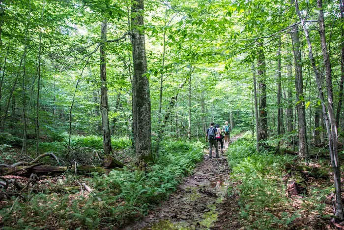 Mongaup Pond Campground 9