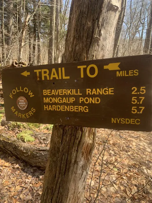 Mongaup Pond Campground 4