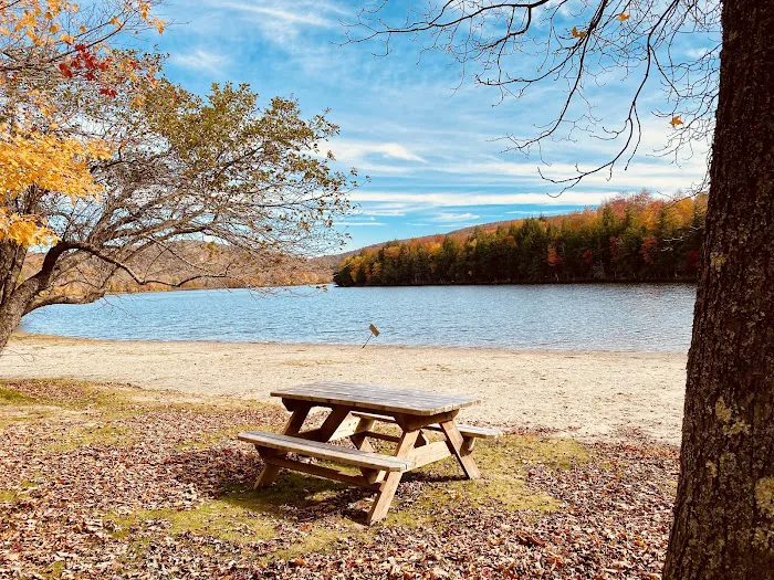 Mongaup Pond Campground 2