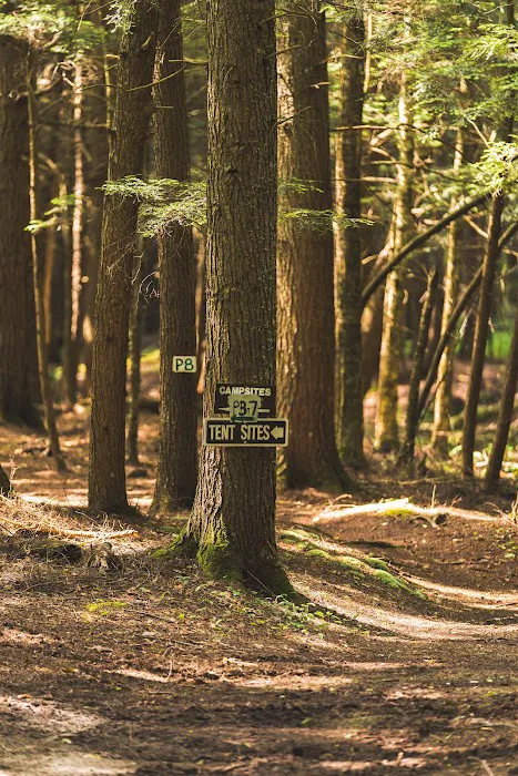 Covered Bridge Campsite 3