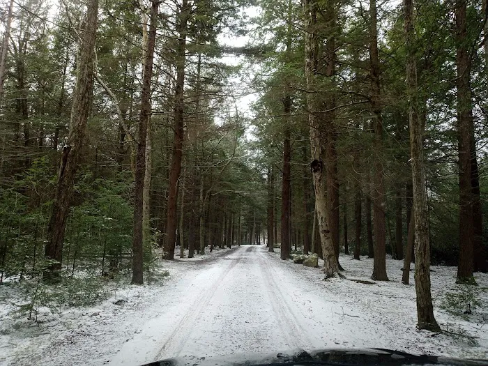 Manny Gordon Pavilion 7