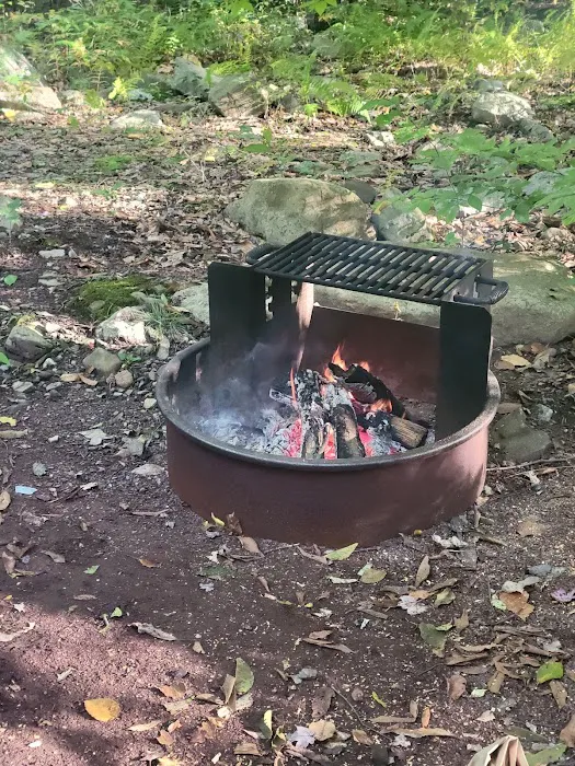 Tobyhanna Campground 3