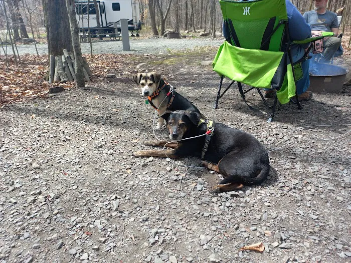 Tobyhanna Campground 9