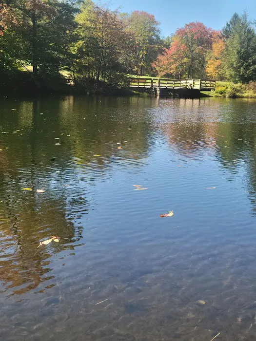 Tobyhanna Campground 1