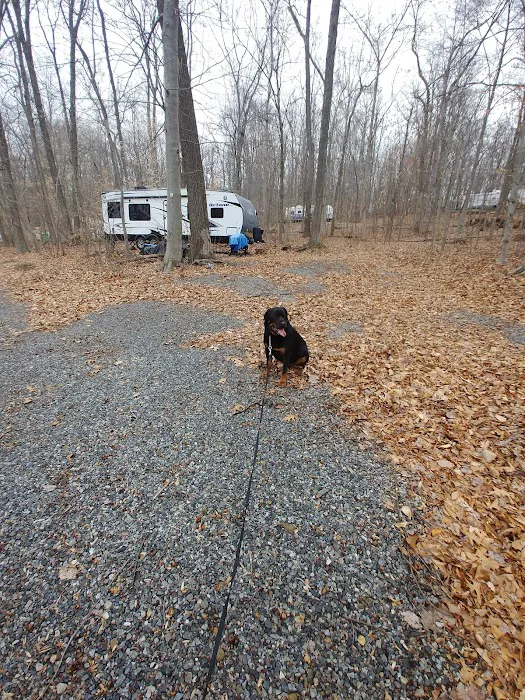 Birchview Farm Campgrounds 4