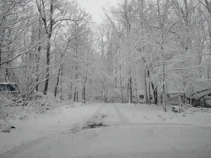 Birchview Farm Campgrounds 2