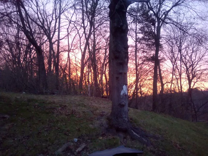 Camp Joy Berks County Parks 2