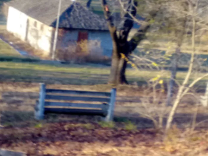 Camp Joy Berks County Parks 0