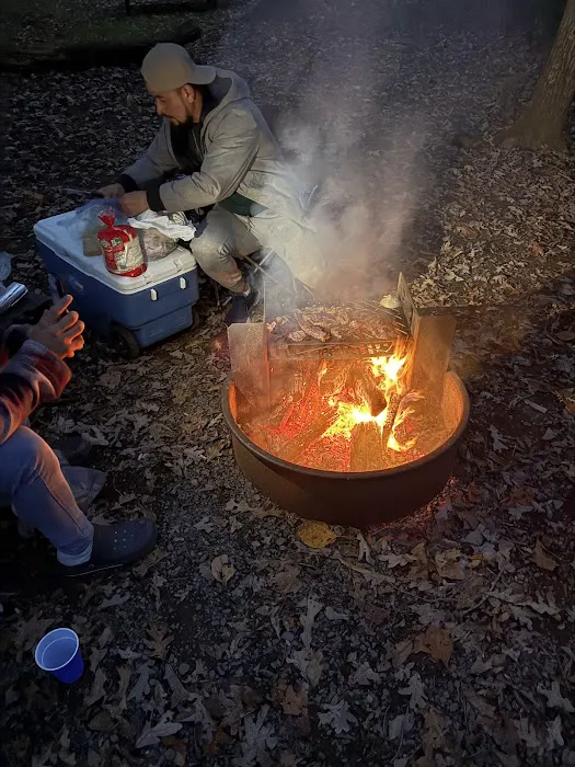 Locust Lake State Park Campground 6