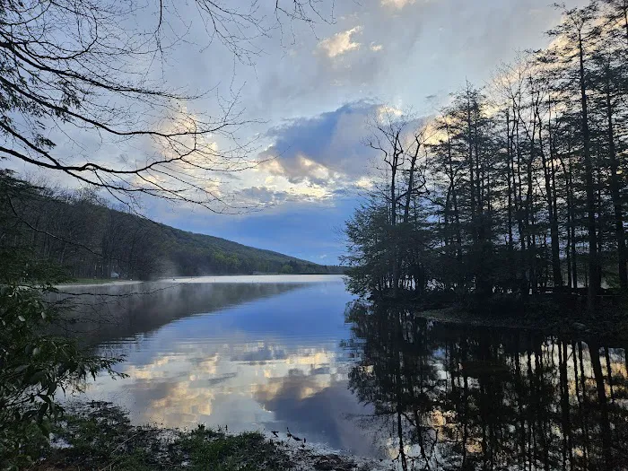 Locust Lake State Park Campground 9