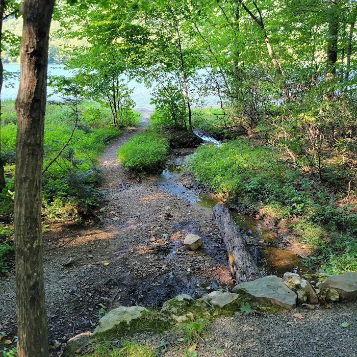 Locust Lake State Park Campground 8