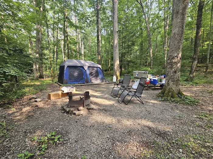 Locust Lake State Park Campground 5