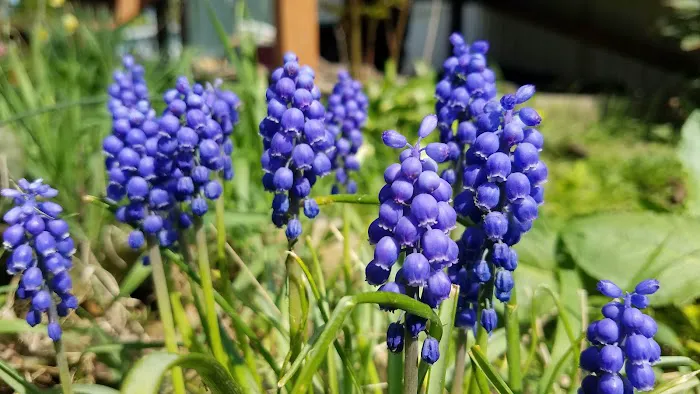 Melanie Manor Home Estates LLC 3