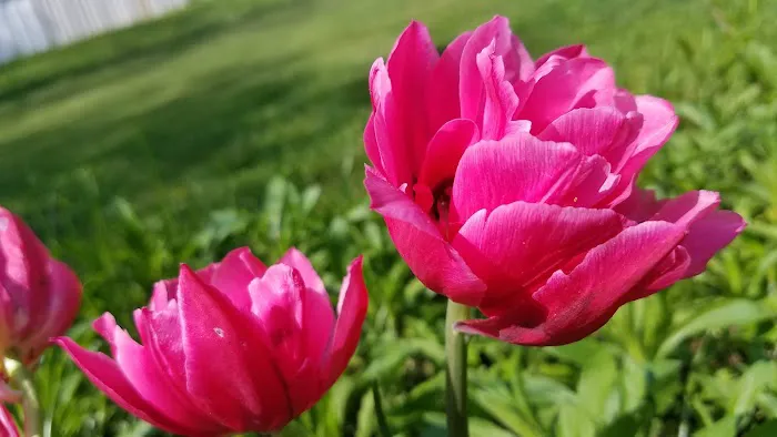 Melanie Manor Home Estates LLC 6