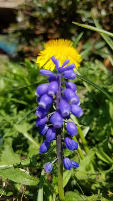 Melanie Manor Home Estates LLC 2