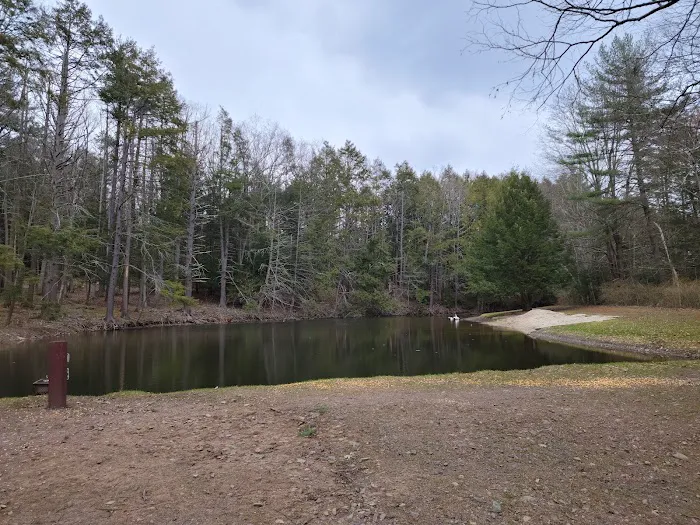 Moyers Grove Campground 1