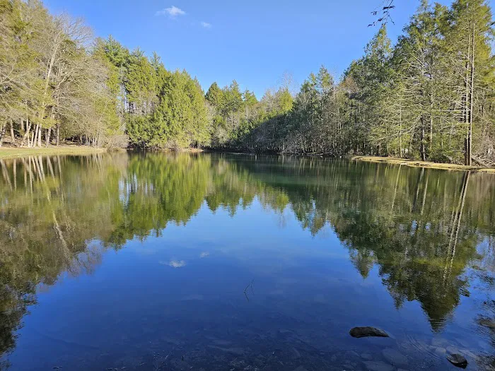 Moyers Grove Campground 5