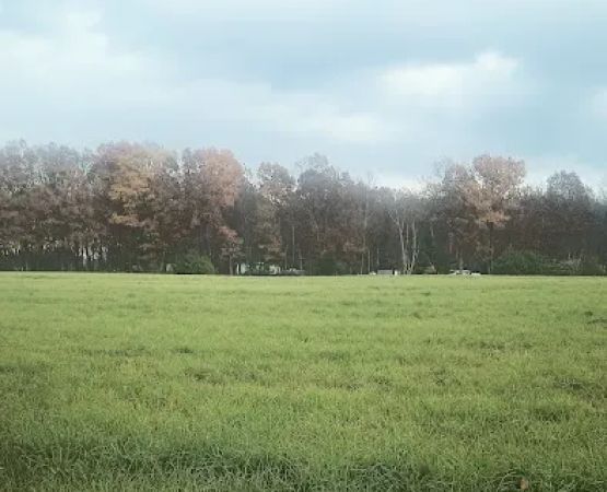 Paradise Campground Resort