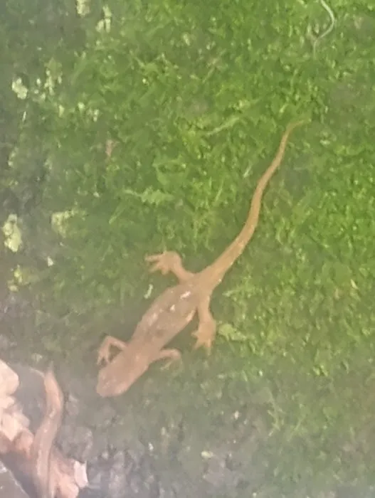 Paradise Campground Resort 1